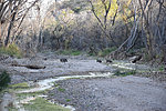 photo thumbnail #13