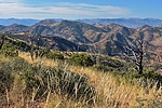 photo thumbnail #4