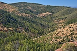 photo thumbnail #10