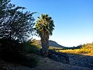 2021-12-01 :1: Indian Mesa Ruins :: kingsnake