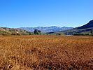 2021-12-01 :1: Indian Mesa Ruins :: kingsnake