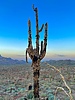 photo thumbnail #1