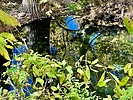 photo thumbnail #11
