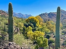 photo thumbnail #12
