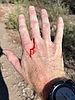 photo thumbnail #13