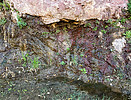 Featured Detail Photo