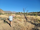 photo thumbnail #6
