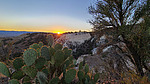 photo thumbnail #7