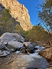 photo thumbnail #10