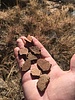 photo thumbnail #3