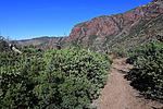 photo thumbnail #11
