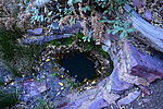 photo thumbnail #10