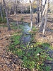 photo thumbnail #9