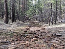 photo thumbnail #3