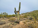 photo thumbnail #1