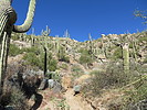 photo thumbnail #7