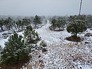 photo thumbnail #6