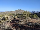 photo thumbnail #3