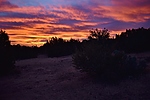photo thumbnail #1