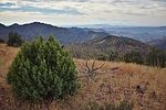 photo thumbnail #14