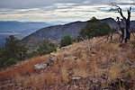 photo thumbnail #15