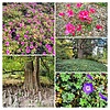 photo thumbnail #15