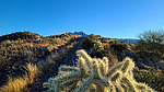 photo thumbnail #4