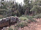 recent photo