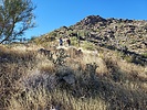 photo thumbnail #9