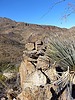photo thumbnail #12