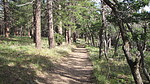 photo thumbnail #9
