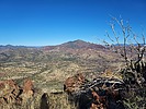 photo thumbnail #5