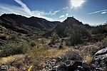 photo thumbnail #7