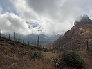 photo thumbnail #6