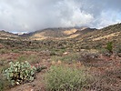 photo thumbnail #4