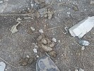 photo thumbnail #11