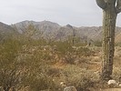photo thumbnail #15