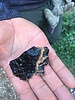 2021-12-11 :1: Triple Arch via Black Glass Canyon :: John10s