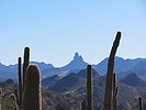 photo thumbnail #13