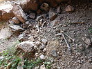 photo thumbnail #9