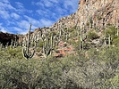 photo thumbnail #9
