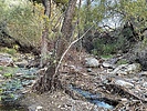 photo thumbnail #11