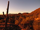 photo thumbnail #3