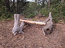 photo thumbnail #4
