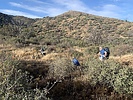 photo thumbnail #4