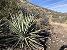 photo thumbnail #6