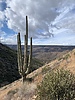 photo thumbnail #12