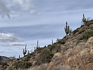 photo thumbnail #14