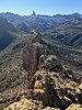photo thumbnail #6
