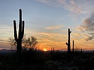 photo thumbnail #12